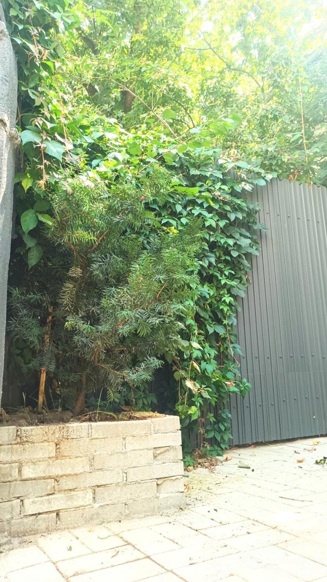 Littlehouse- Entire Property For Maximum 4 People بوخارست المظهر الخارجي الصورة